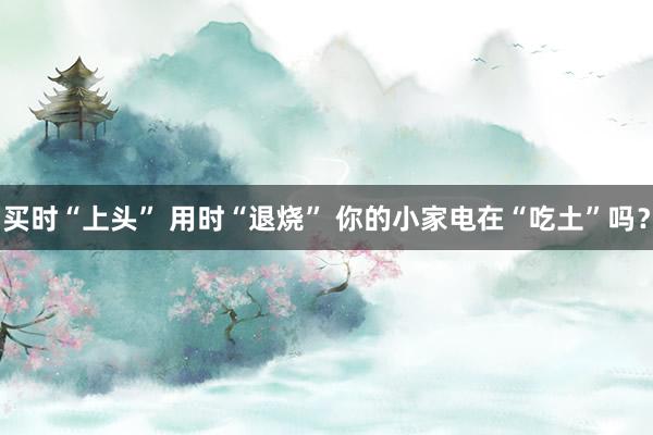 买时“上头” 用时“退烧” 你的小家电在“吃土”吗？