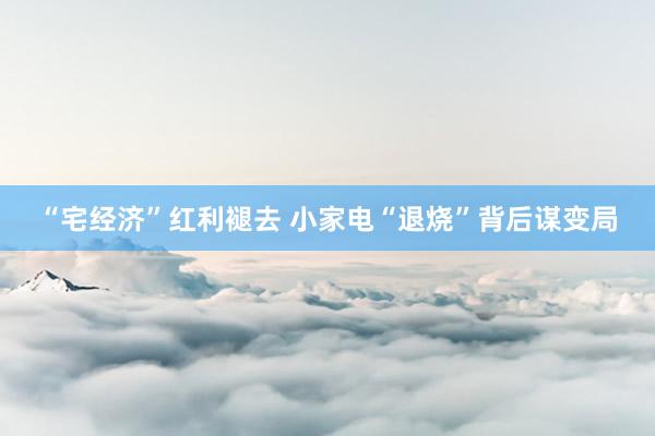 “宅经济”红利褪去 小家电“退烧”背后谋变局
