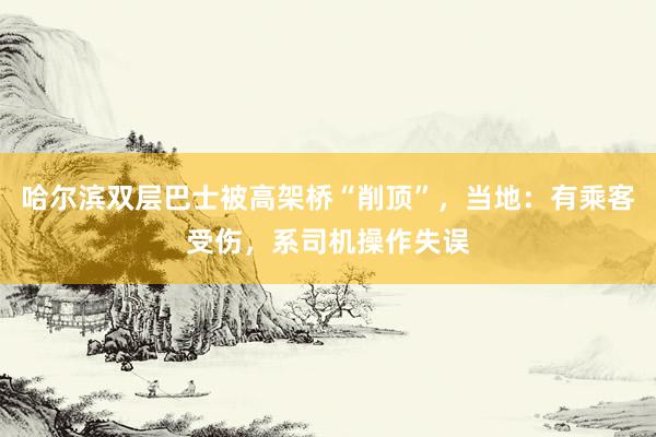 哈尔滨双层巴士被高架桥“削顶”，当地：有乘客受伤，系司机操作失误