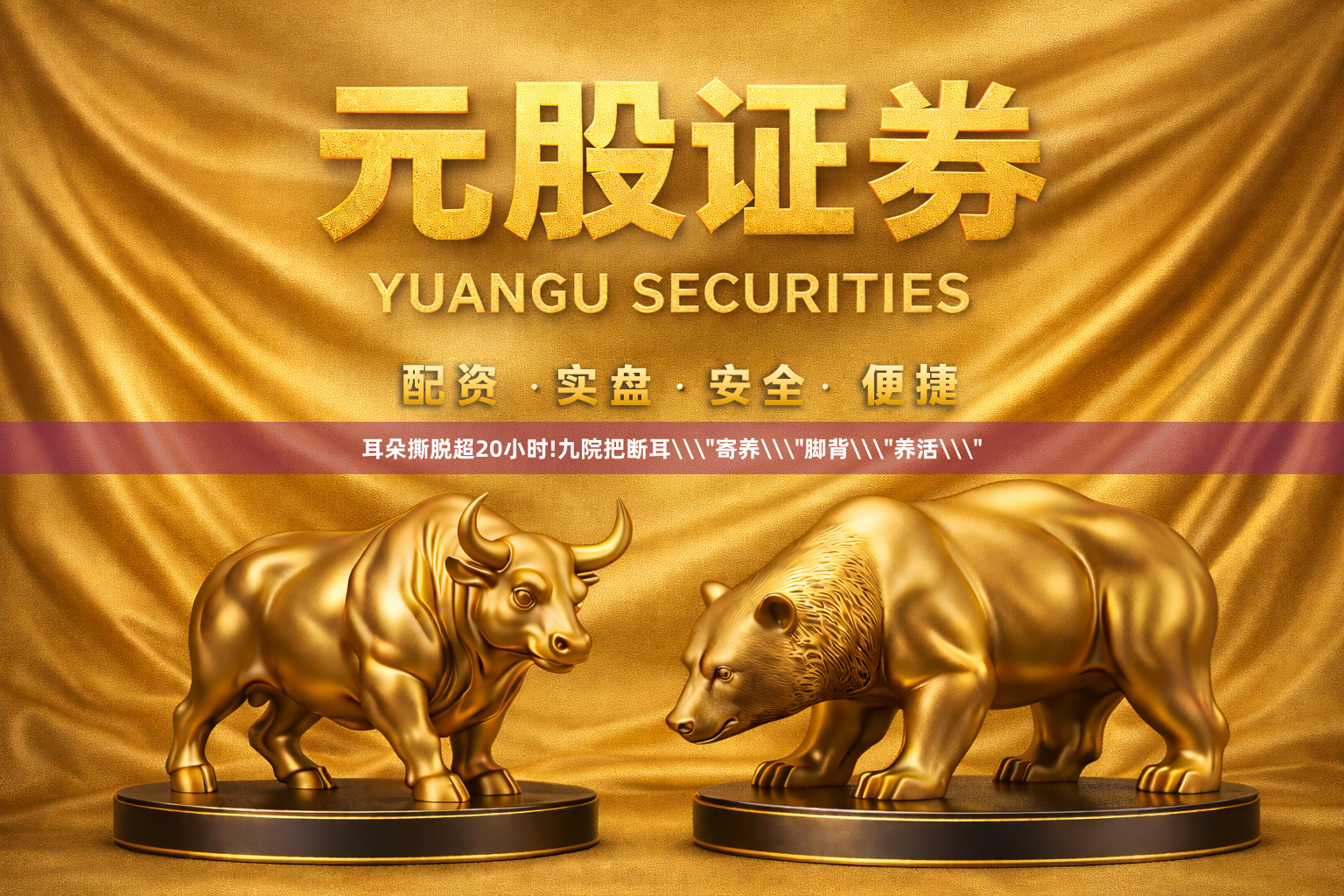耳朵撕脱超20小时!九院把断耳\
