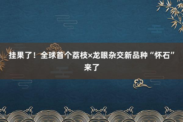 挂果了！全球首个荔枝×龙眼杂交新品种“怀石”来了