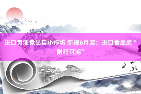 进口黄油竟出自小作坊 新规6月起：进口食品须“附码可溯”
