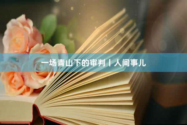 一场青山下的审判丨人间事儿