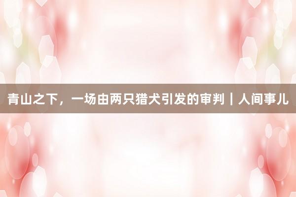 青山之下，一场由两只猎犬引发的审判｜人间事儿
