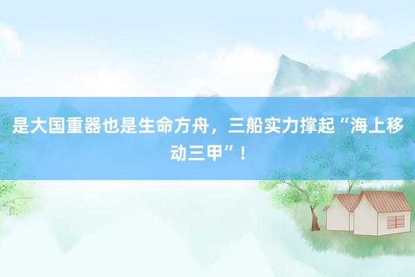 是大国重器也是生命方舟，三船实力撑起“海上移动三甲”！