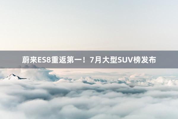 蔚来ES8重返第一！7月大型SUV榜发布