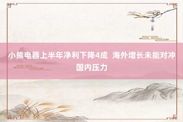 小熊电器上半年净利下降4成  海外增长未能对冲国内压力