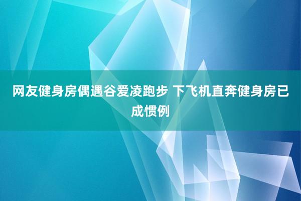 网友健身房偶遇谷爱凌跑步 下飞机直奔健身房已成惯例