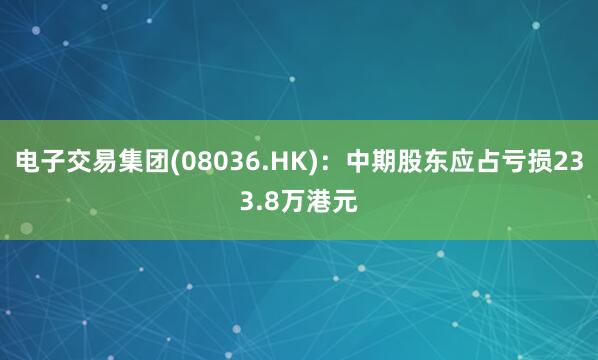 电子交易集团(08036.HK)：中期股东应占亏损233.8万港元