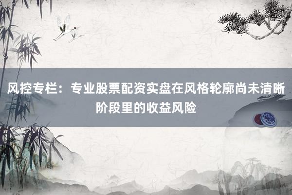 风控专栏：专业股票配资实盘在风格轮廓尚未清晰阶段里的收益风险