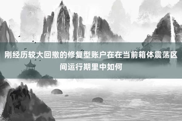 刚经历较大回撤的修复型账户在在当前箱体震荡区间运行期里中如何