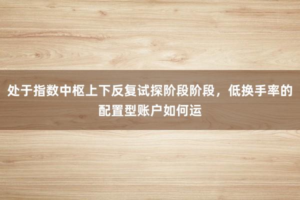 处于指数中枢上下反复试探阶段阶段，低换手率的配置型账户如何运