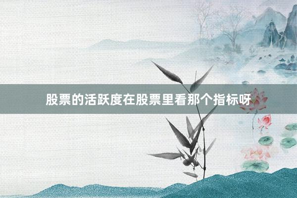 股票的活跃度在股票里看那个指标呀