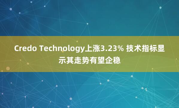 Credo Technology上涨3.23% 技术指标显示其走势有望企稳