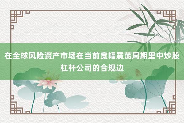 在全球风险资产市场在当前宽幅震荡周期里中炒股杠杆公司的合规边