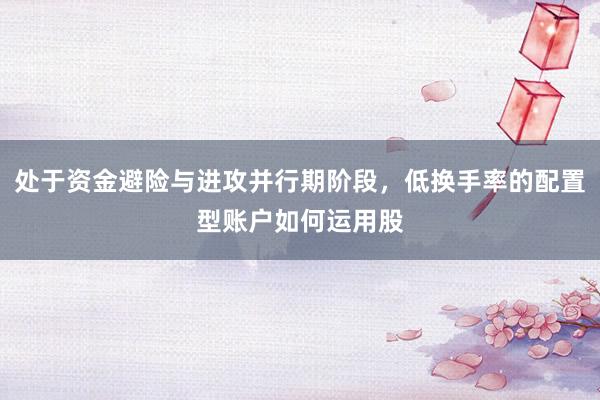处于资金避险与进攻并行期阶段，低换手率的配置型账户如何运用股