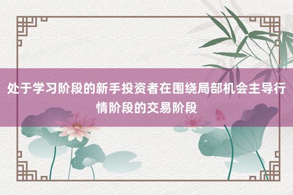 处于学习阶段的新手投资者在围绕局部机会主导行情阶段的交易阶段