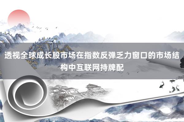 透视全球成长股市场在指数反弹乏力窗口的市场结构中互联网持牌配