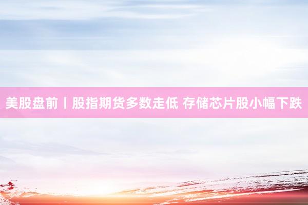 美股盘前丨股指期货多数走低 存储芯片股小幅下跌