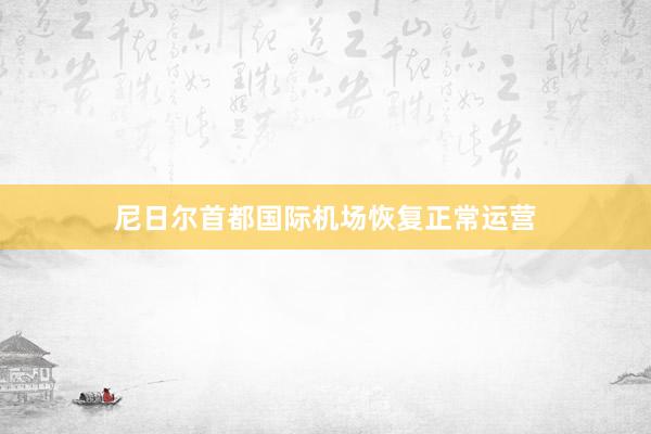 尼日尔首都国际机场恢复正常运营