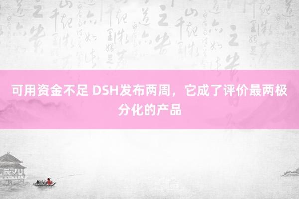 可用资金不足 DSH发布两周，它成了评价最两极分化的产品