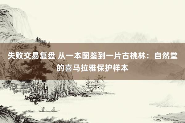 失败交易复盘 从一本图鉴到一片古桃林：自然堂的喜马拉雅保护样本
