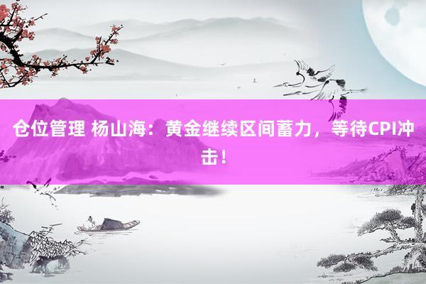 仓位管理 杨山海：黄金继续区间蓄力，等待CPI冲击！