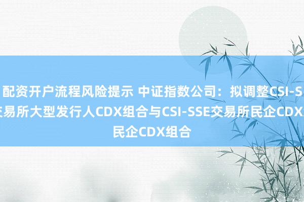 配资开户流程风险提示 中证指数公司：拟调整CSI-SSE交易所大型发行人CDX组合与CSI-SSE交易所民企CDX组合