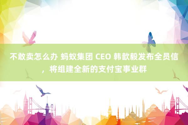 不敢卖怎么办 蚂蚁集团 CEO 韩歆毅发布全员信，将组建全新的支付宝事业群