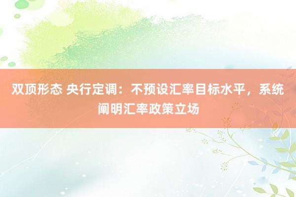 双顶形态 央行定调:不预设汇率目标水平,系统阐明汇率政策立场