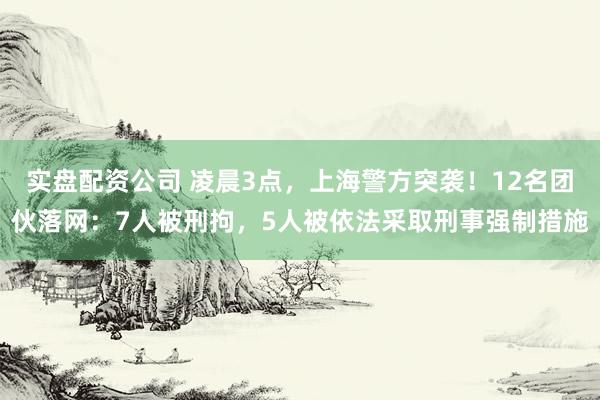 实盘配资公司 凌晨3点，上海警方突袭！12名团伙落网：7人被刑拘，5人被依法采取刑事强制措施